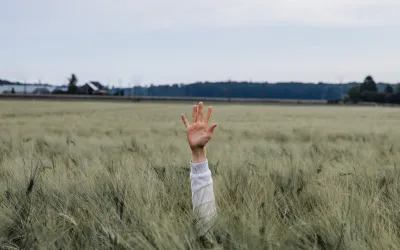 Profil pénurique : recruter quand personne ne postule